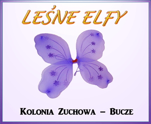 Kolonia Zuchowa - 